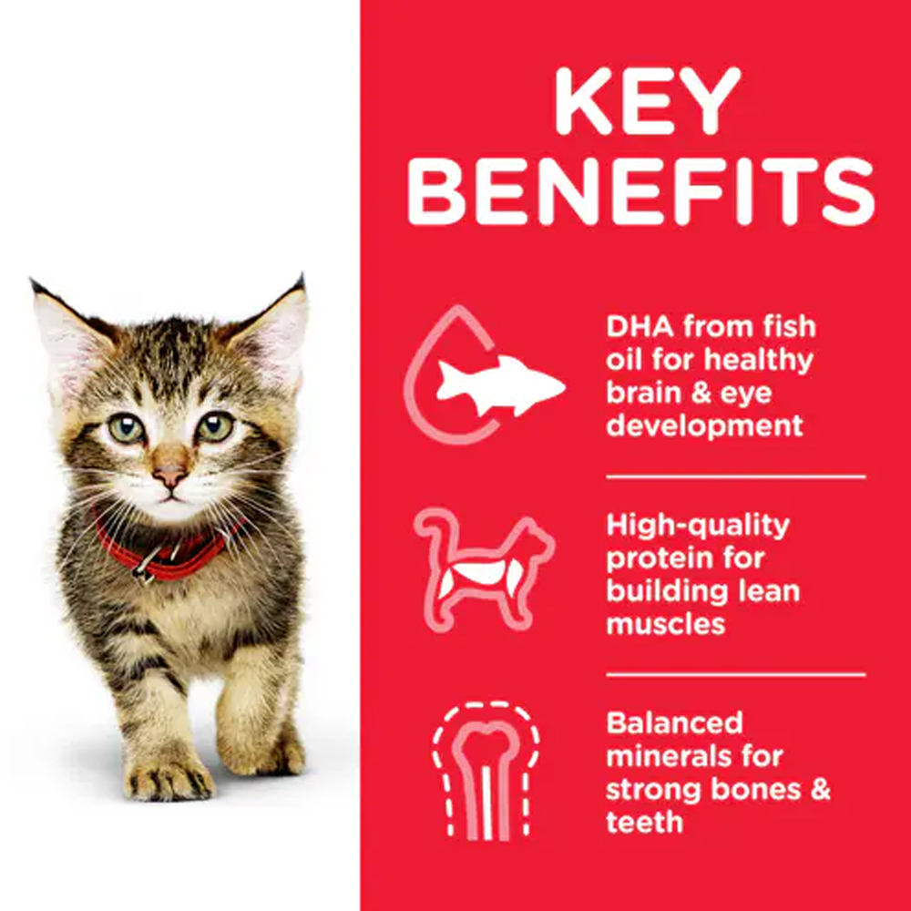 Hill's Science Diet Kitten Up to 1 Year Tender Chicken Dinner Wet Cat Food 85gm