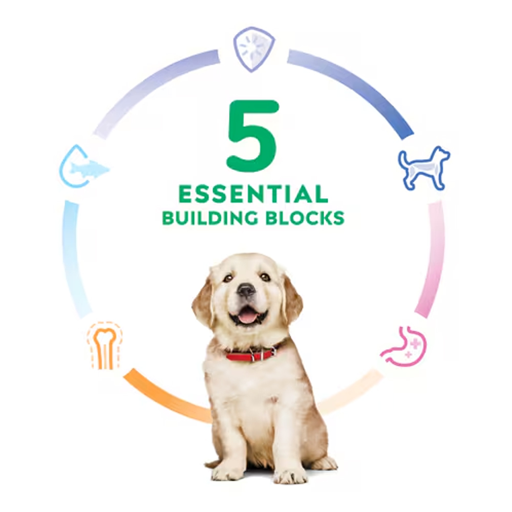 Hill's Science Diet Large Breed Puppy Chicken & Brown Rice Recipe Dry Dog Food