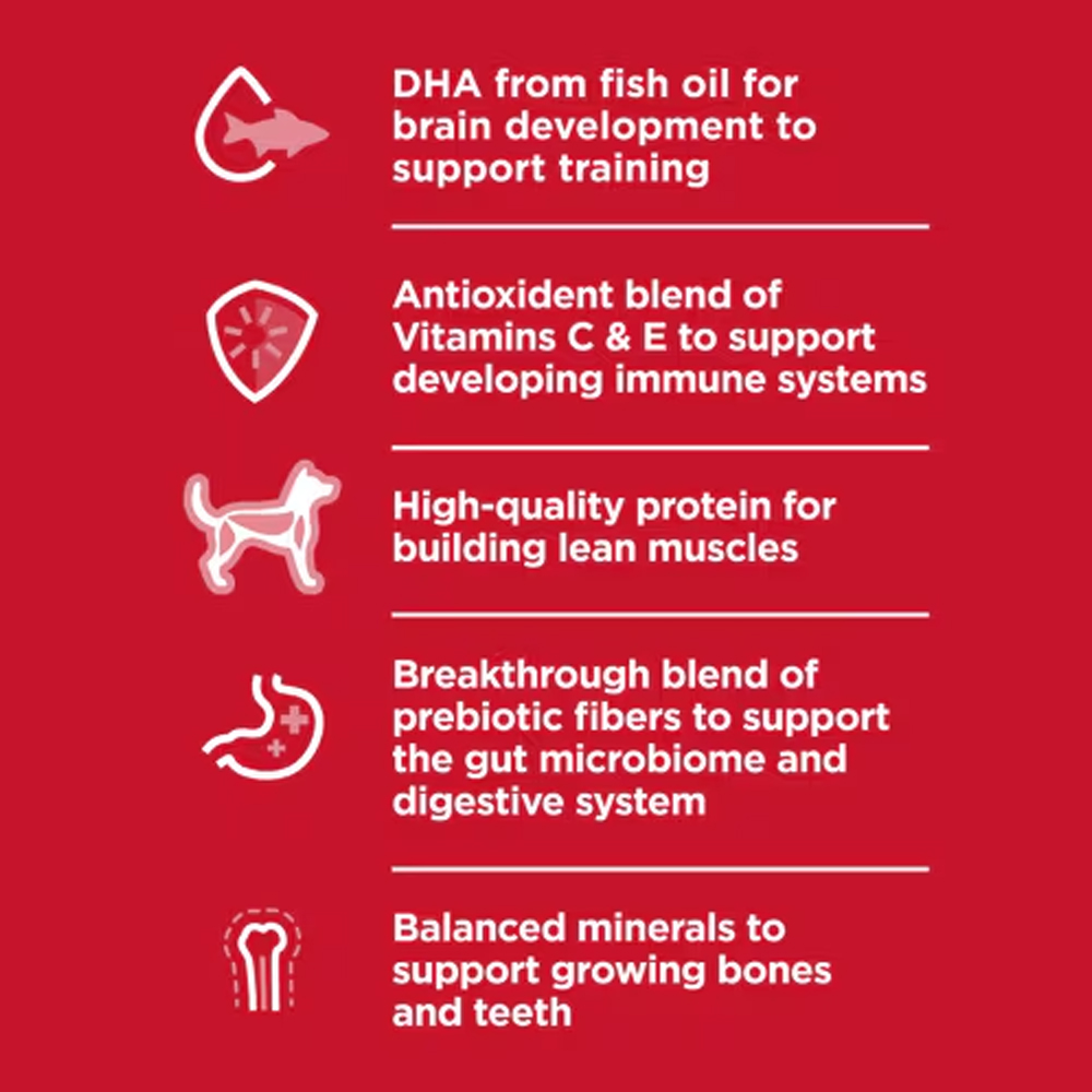 Hill's Science Diet Large Breed Puppy Chicken & Brown Rice Recipe Dry Dog Food