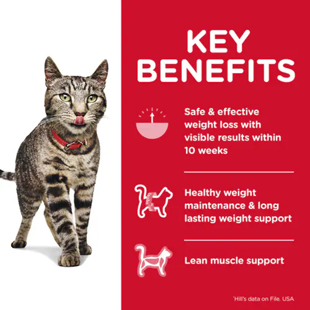 Hill's Science Diet Perfect Weight Adult 1+ with Salmon Wet Cat Food 85gm