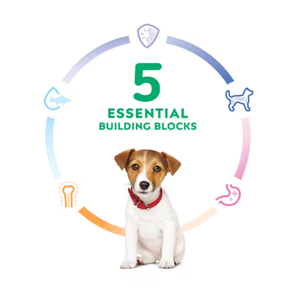 Hill's Science Diet Puppy Small Bites Chicken & Barley Dry Dog Food