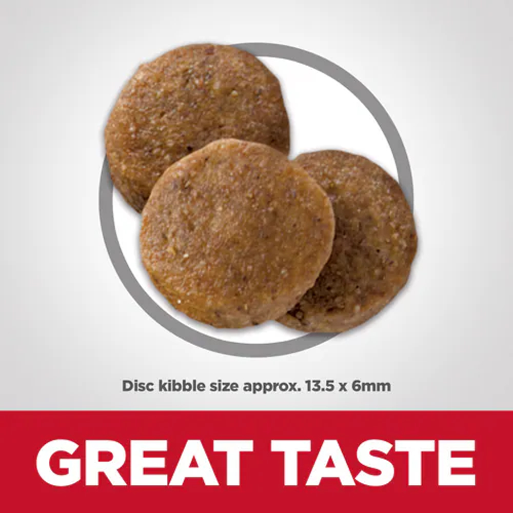 Hill's Science Diet Sensitive Stomach & Skin Large Breed Adult Chicken & Barley Recipe Dry Dog Food
