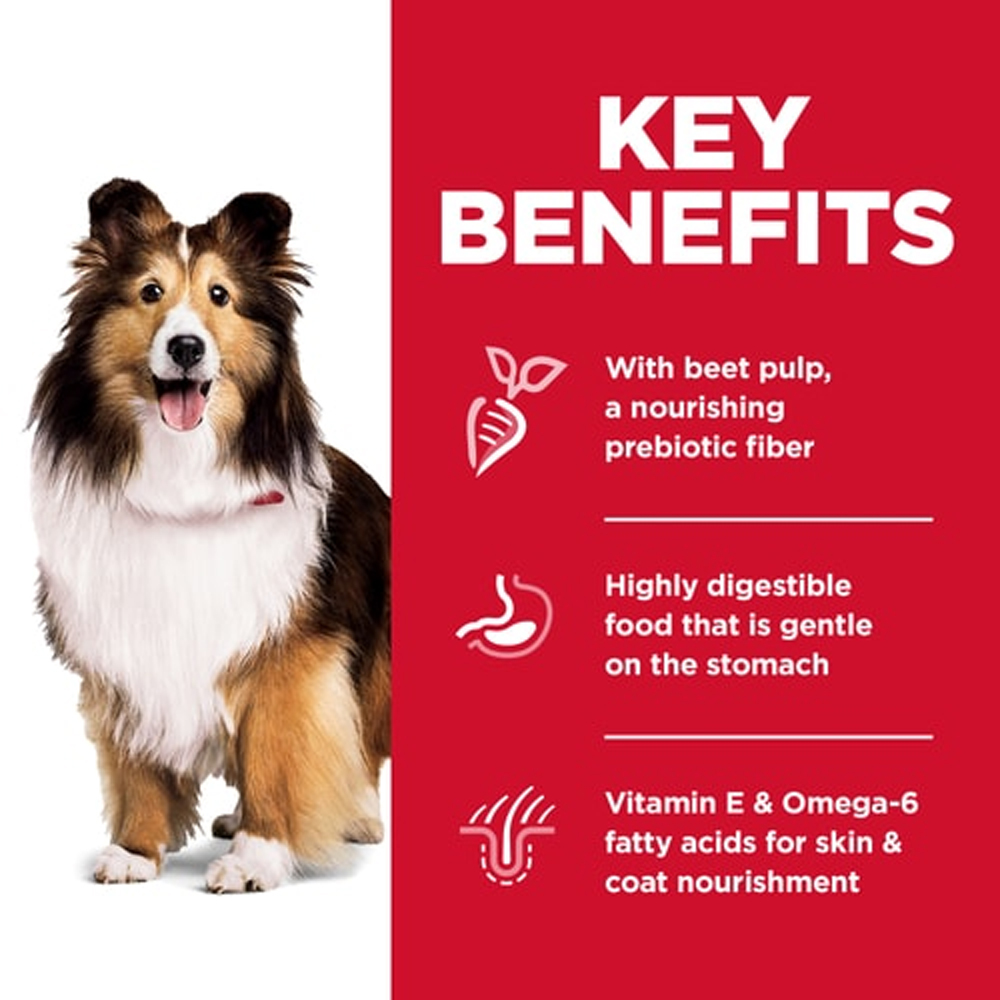 Hill's Science Diet Sensitive Stomach & Skin Adult Chicken & Barley Recipe Dry Dog Food