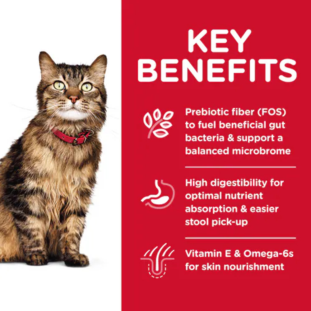 Hill's Science Diet Sensitive Stomach & Skin Adult Chicken & Rice Recipe Dry Cat Food