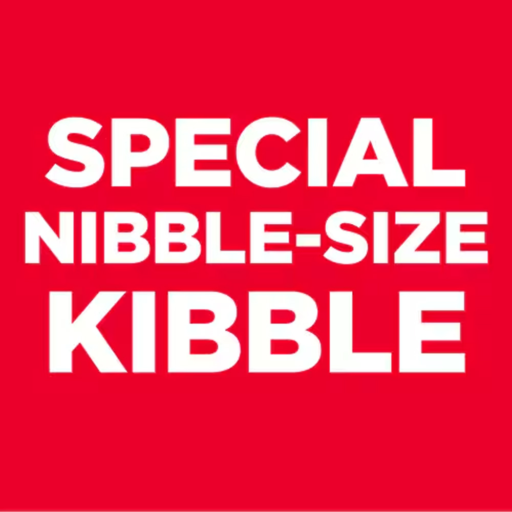 Hill's Science Diet Small & Mini Adult 7+ Chicken & Brown Rice Recipe Dry Dog Food