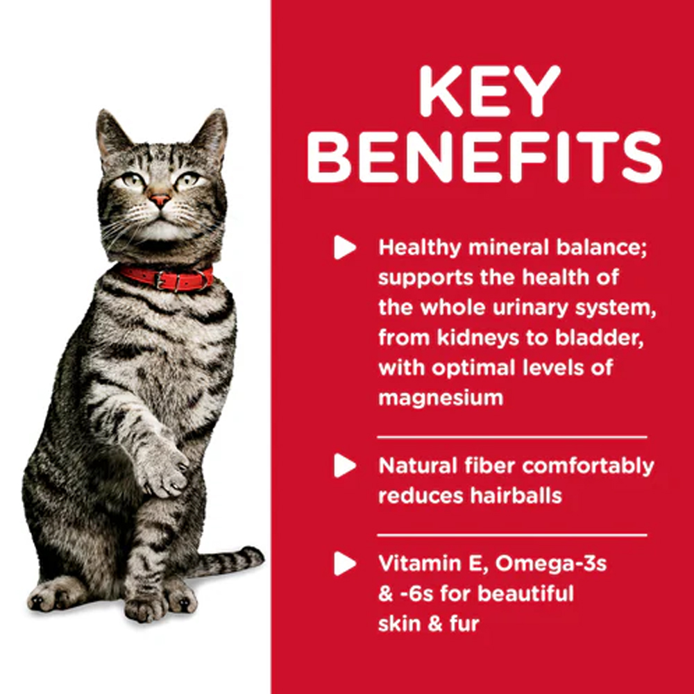 Hill's Science Diet Urinary Hairball Control Adult 1+ Tender Chicken Dinner Recipe Wet Cat Food 85gm