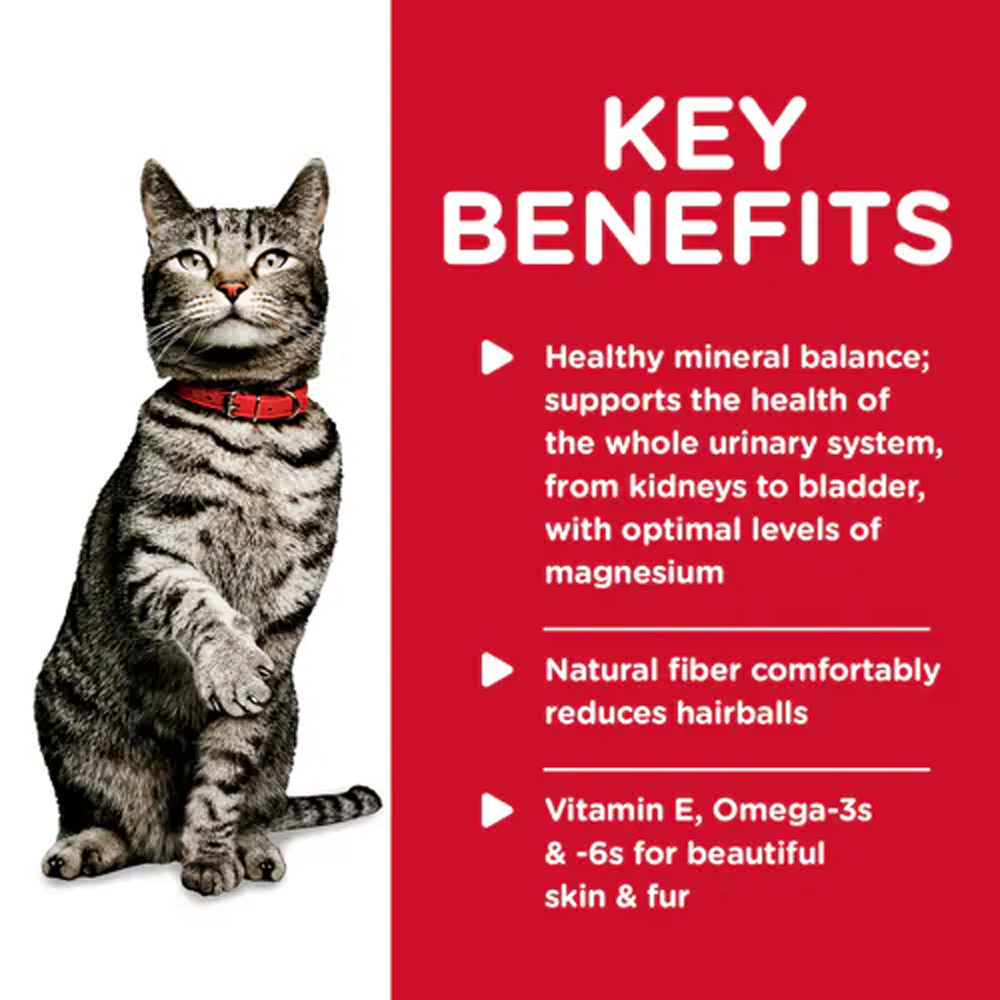 Hill's Science Diet Urinary Hairball Control Adult Savory Chicken Entree Wet Cat Food 82gm