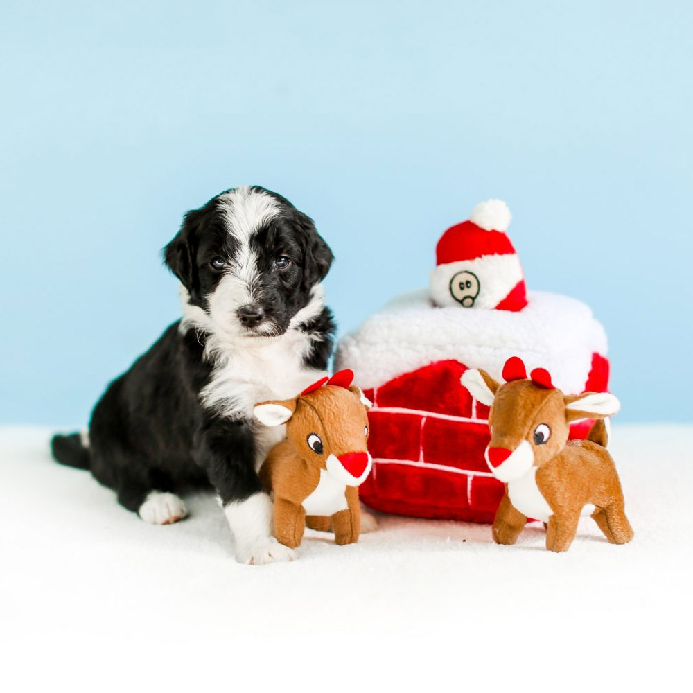 Zippy Paws Holiday Burrow Chimney Dog Toy