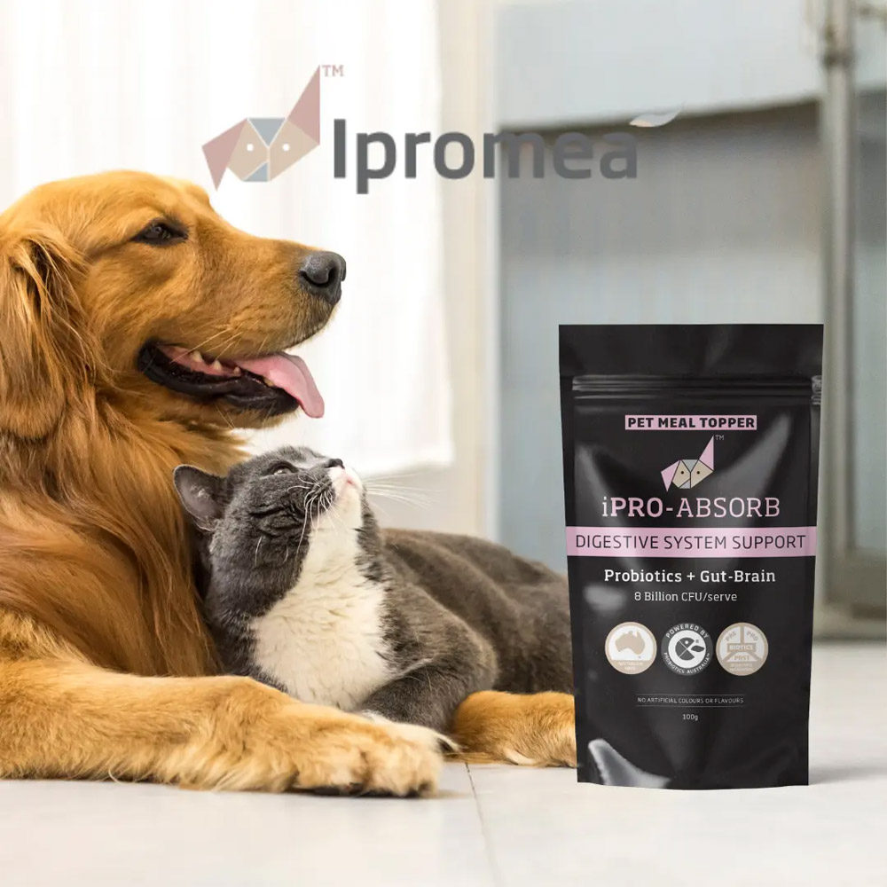 Ipromea iPRO-ABSORB Pet Meal Topper for Dogs and Cats