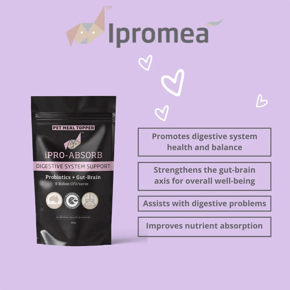 Ipromea iPRO-ABSORB Pet Meal Topper for Dogs and Cats