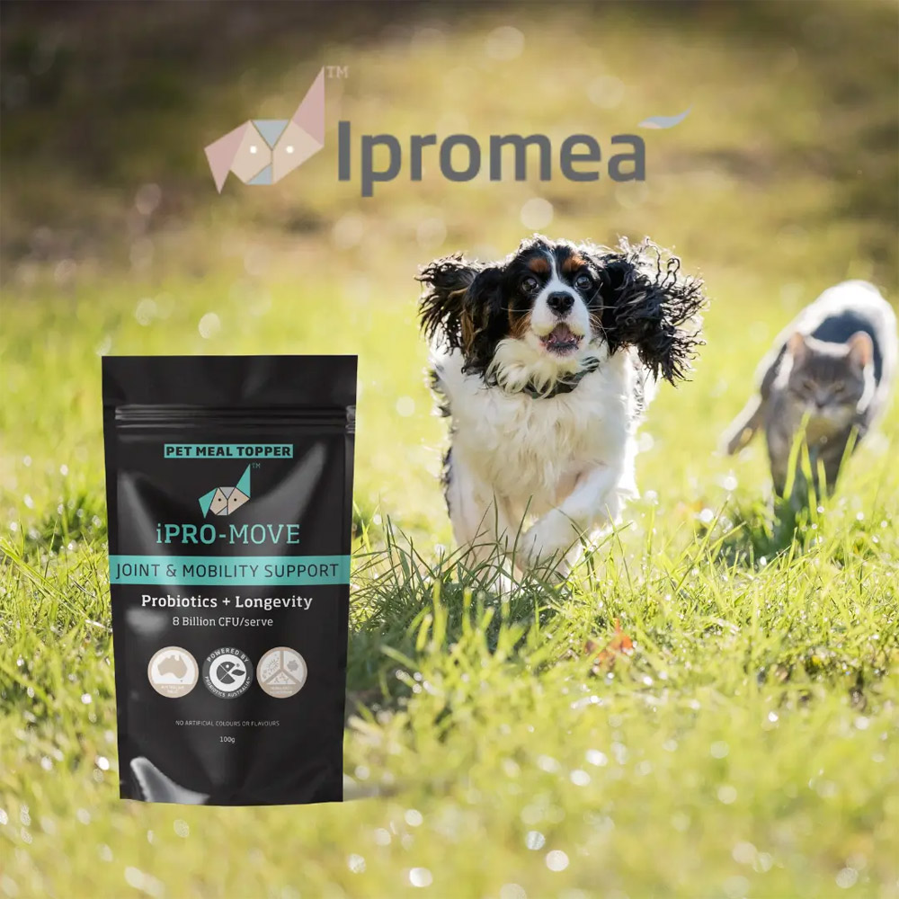 Ipromea iPRO-MOVE Pet Meal Topper for Dogs and Cats