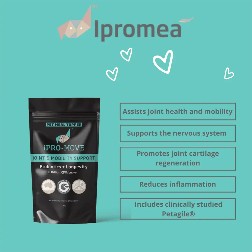 Ipromea iPRO-MOVE Pet Meal Topper for Dogs and Cats
