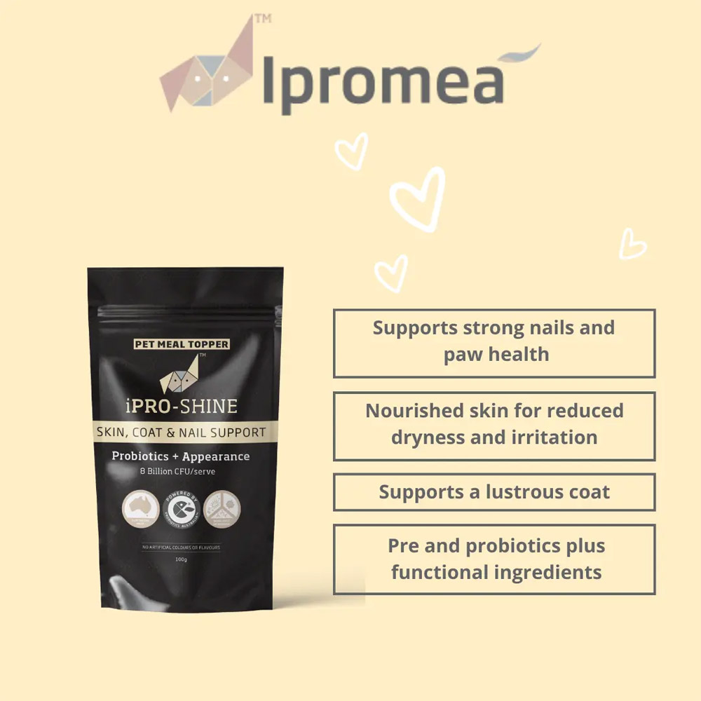 Ipromea iPRO-SHINE Pet Meal Topper for Dogs and Cats