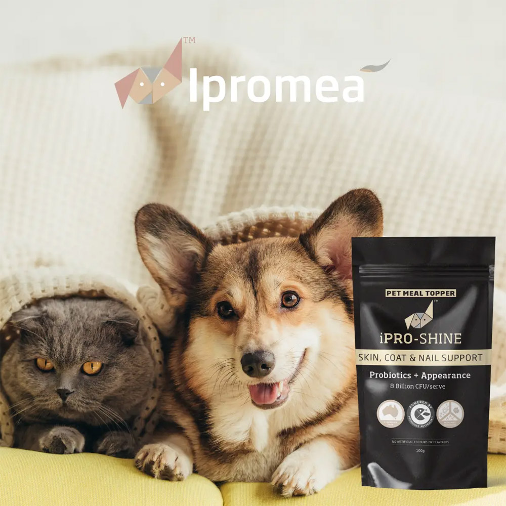 Ipromea iPRO-SHINE Pet Meal Topper for Dogs and Cats