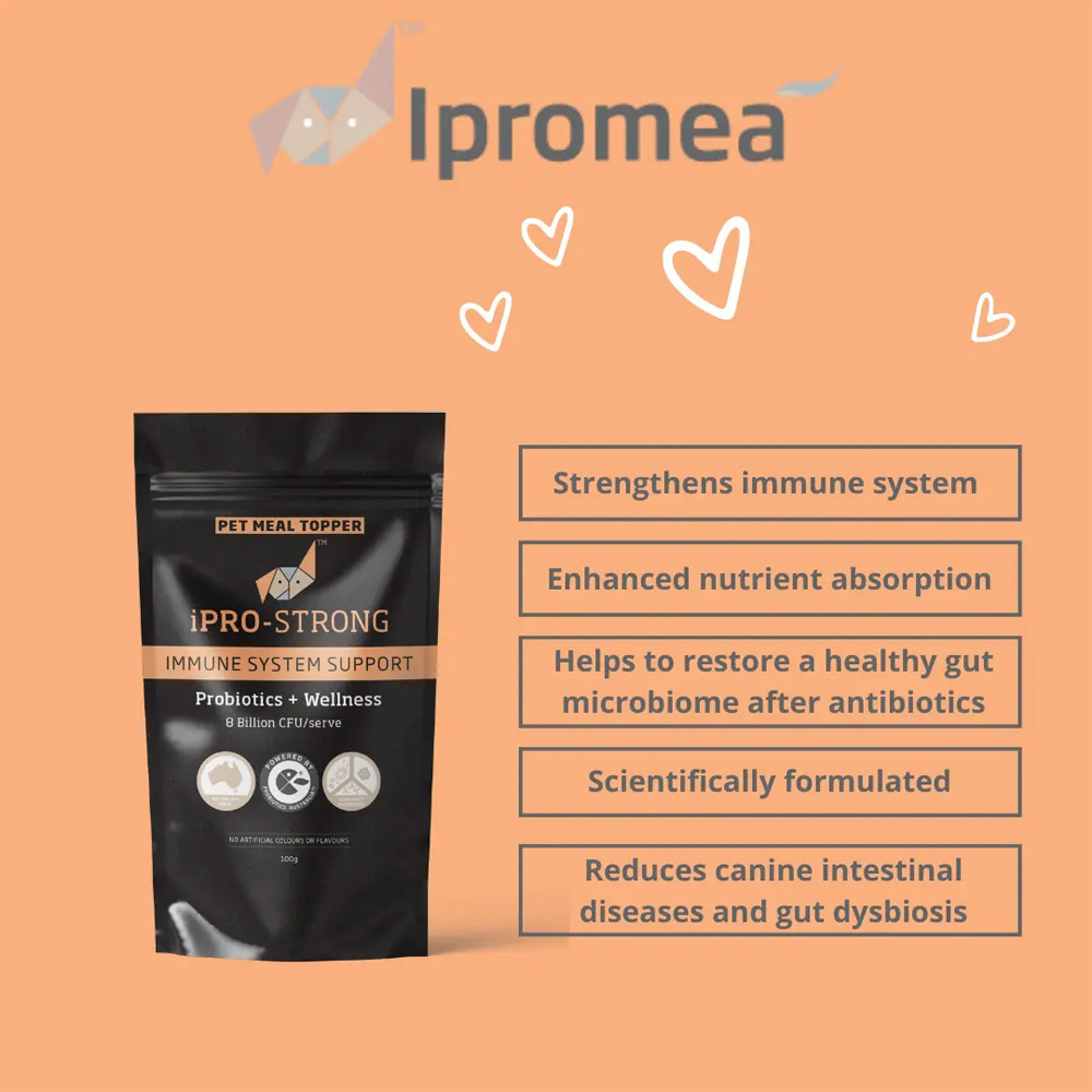 Ipromea iPRO-STRONG Pet Meal Topper for Dogs and Cats