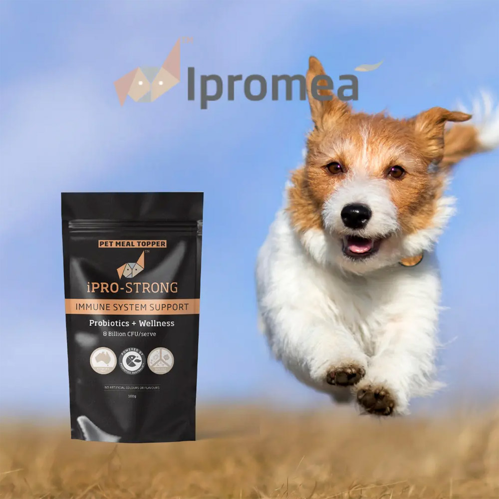 Ipromea iPRO-STRONG Pet Meal Topper for Dogs and Cats