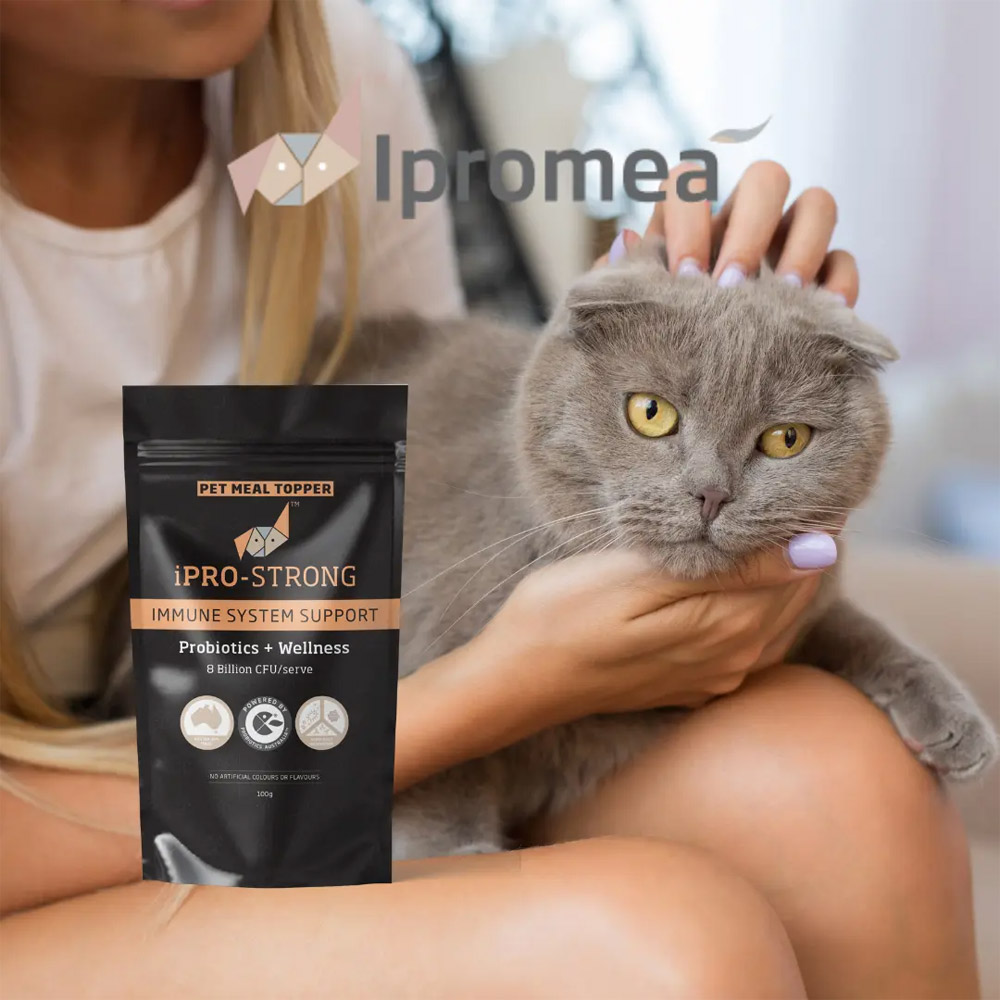 Ipromea iPRO-STRONG Pet Meal Topper for Dogs and Cats
