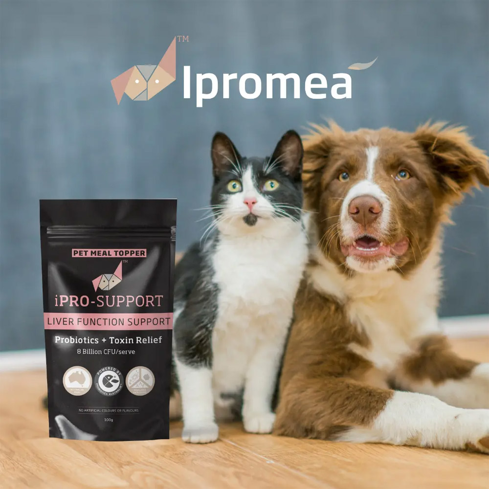 Ipromea iPRO-SUPPORT Pet Meal Topper for Dogs and Cats