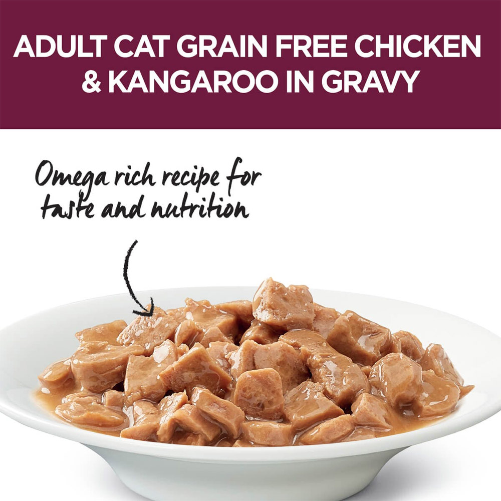 Ivory Coat Grain Free Adult Chicken & Kangaroo In Gravy Wet Cat Food 85gm