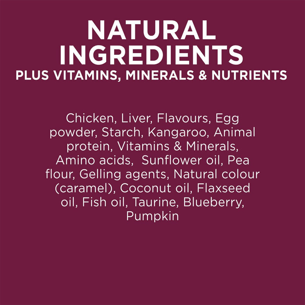 Ivory Coat Grain Free Adult Chicken & Kangaroo In Gravy Wet Cat Food 85gm