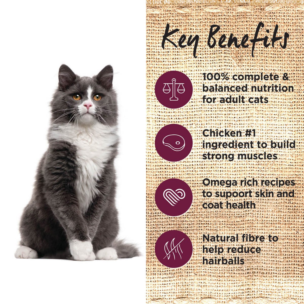 Ivory Coat Grain Free Adult Chicken & Kangaroo In Gravy Wet Cat Food 85gm