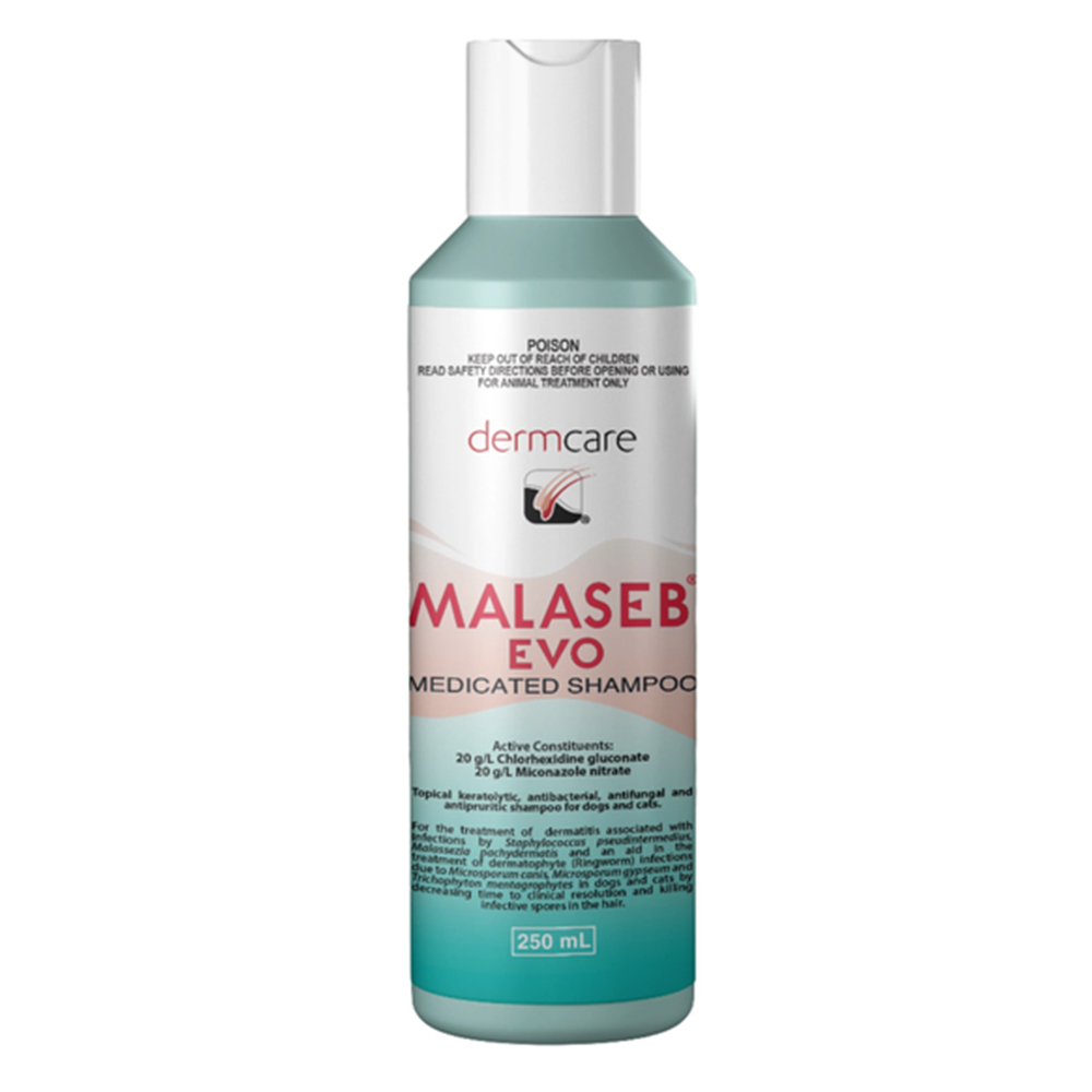 Dermcare Malaseb Evo Medicated Shampoo for Dogs and Cats
