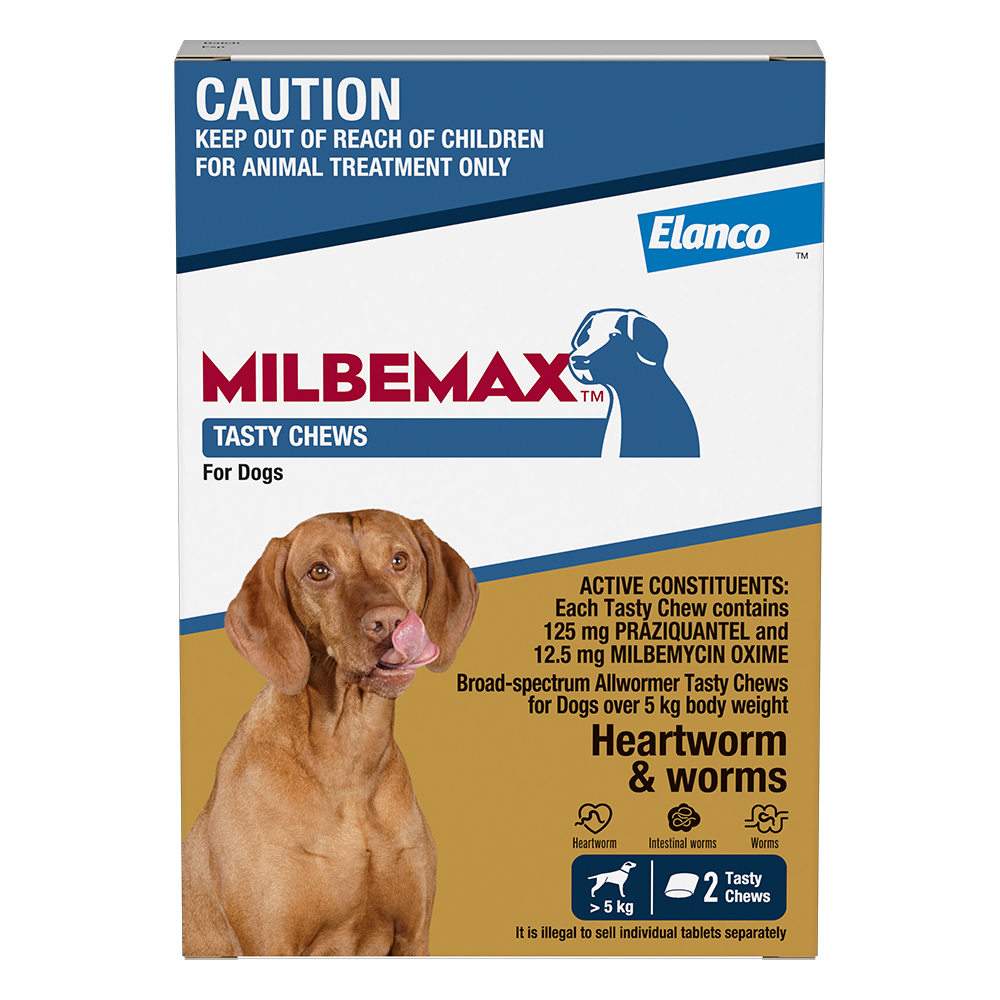 Milbemax Allwormer Chews For Large Dogs Over 5 Kg