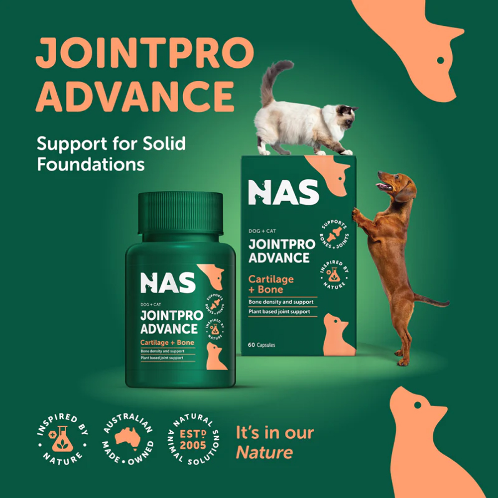 Natural Animal Solution JointPro Advance Cap's