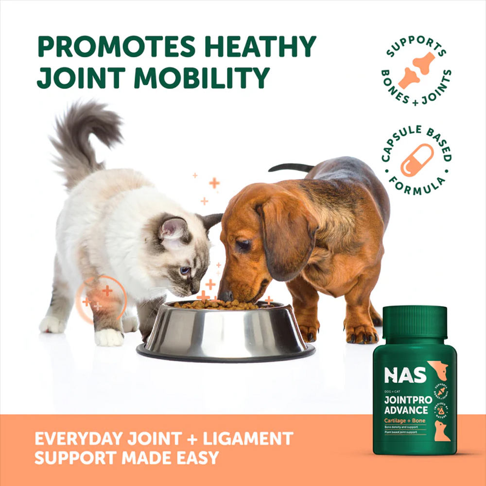 Natural Animal Solution JointPro Advance Cap's