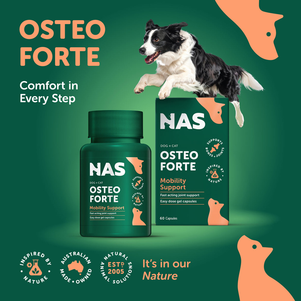 Natural Animal Solutions OsteoForte Caps for Dogs and Cats