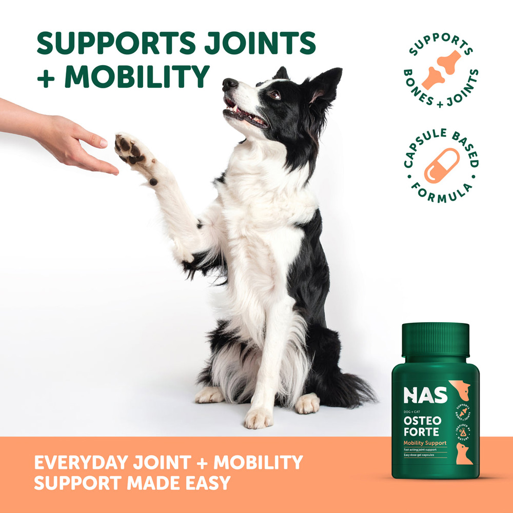 Natural Animal Solutions OsteoForte Caps for Dogs and Cats