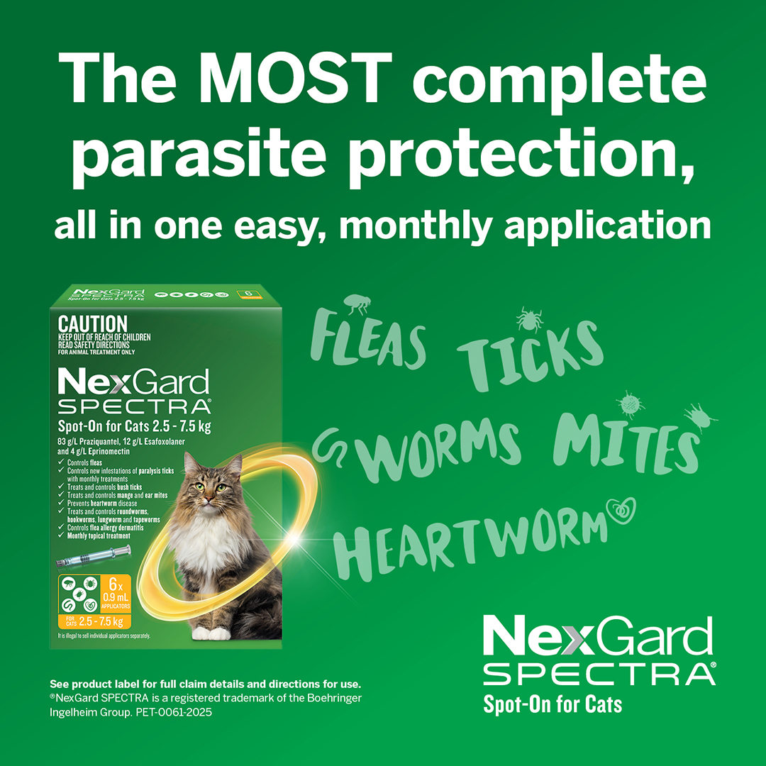 Nexgard Spectra Spot-On for Large Cats 2.5 to 7.5kg