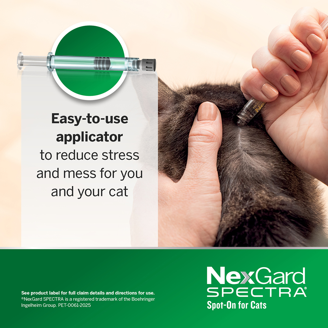 Nexgard Spectra Spot-On for Kittens and Small Cats 0.8 to 2.4kg