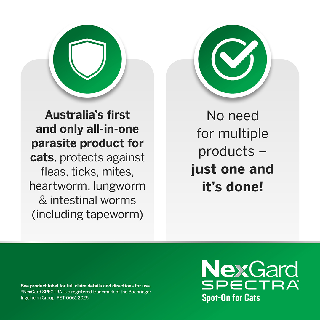 Nexgard Spectra Spot-On for Kittens and Small Cats 0.8 to 2.4kg