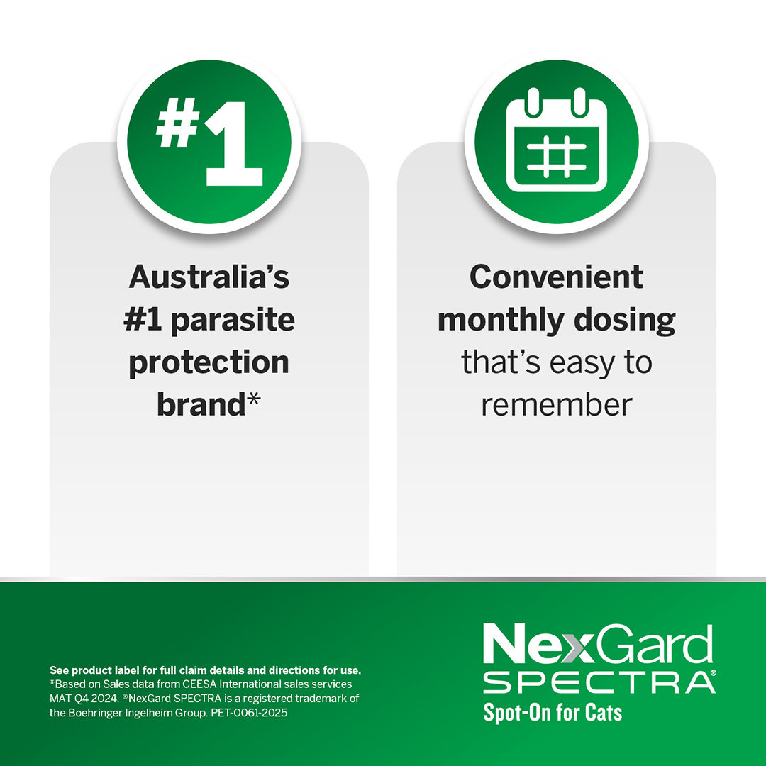 Nexgard Spectra Spot-On for Kittens and Small Cats 0.8 to 2.4kg