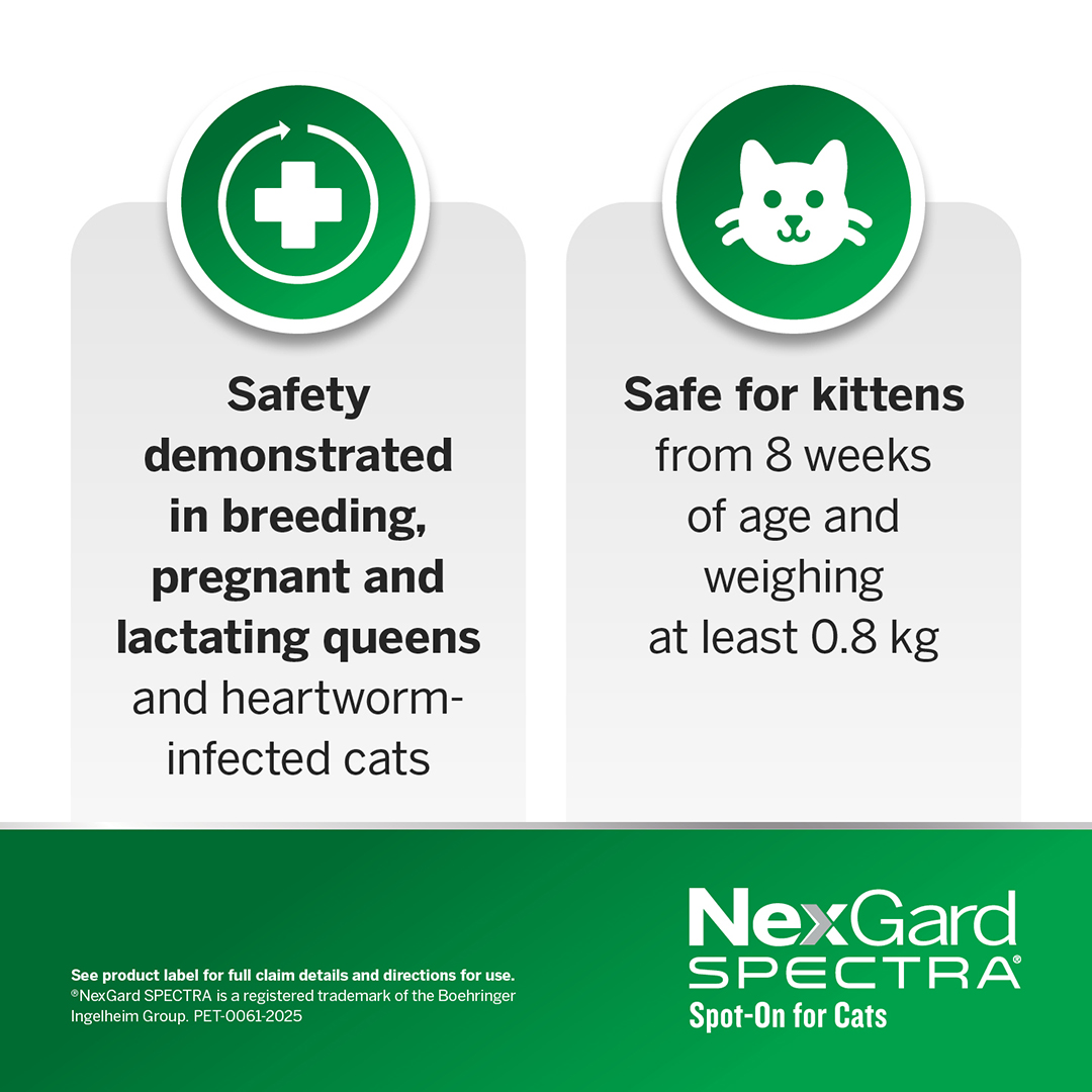 Nexgard Spectra Spot-On for Kittens and Small Cats 0.8 to 2.4kg