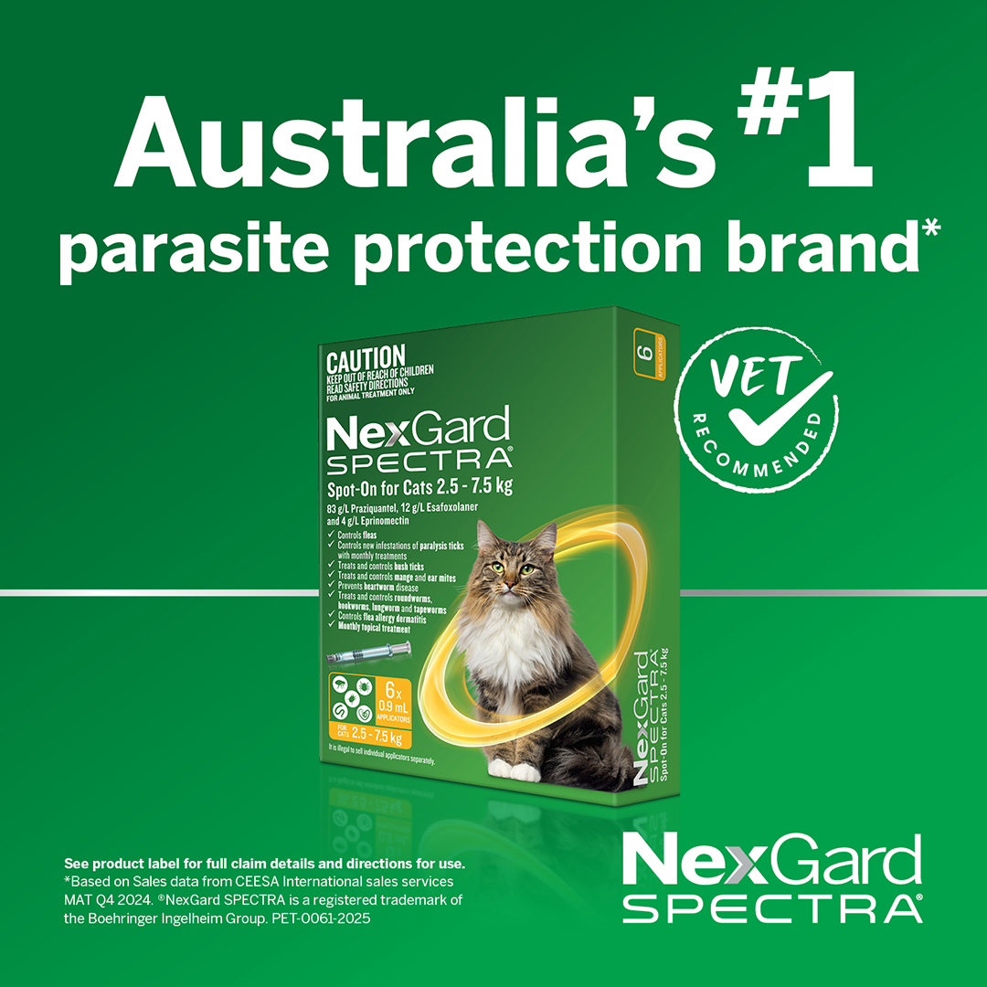 Nexgard Spectra Spot-On for Large Cats 2.5 to 7.5kg