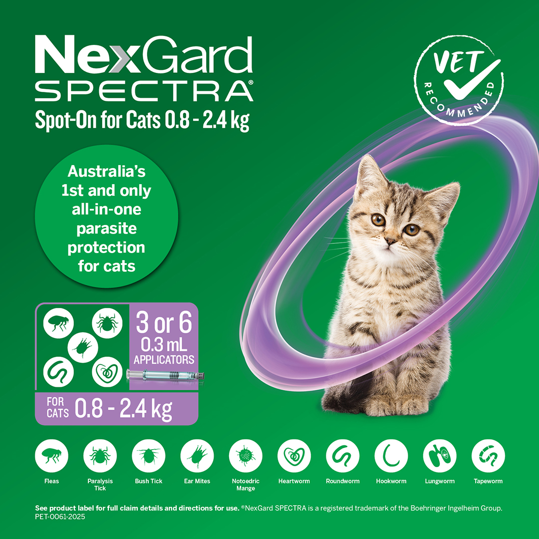 Nexgard Spectra Spot-On for Kittens and Small Cats 0.8 to 2.4kg