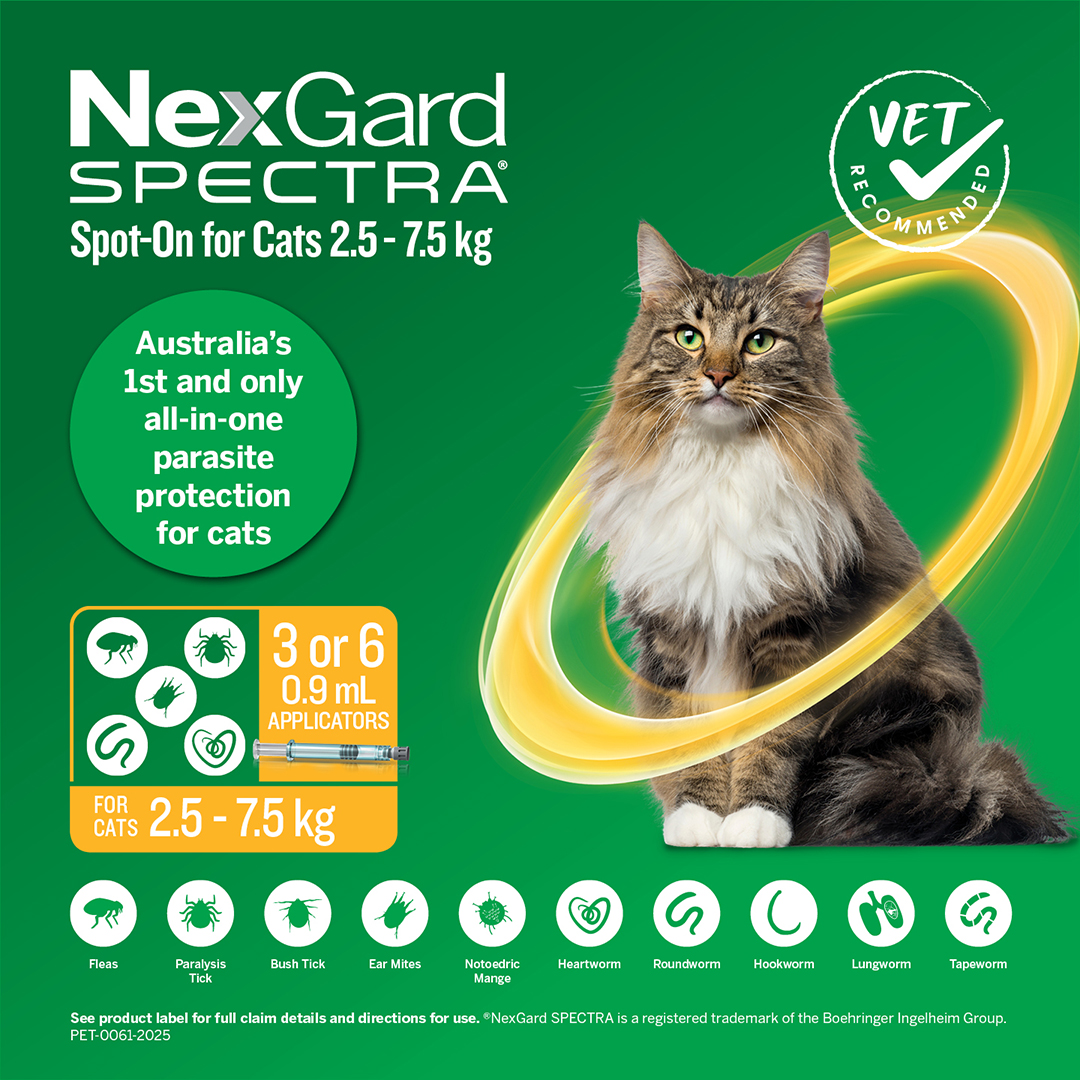 Nexgard Spectra Spot-On for Large Cats 2.5 to 7.5kg