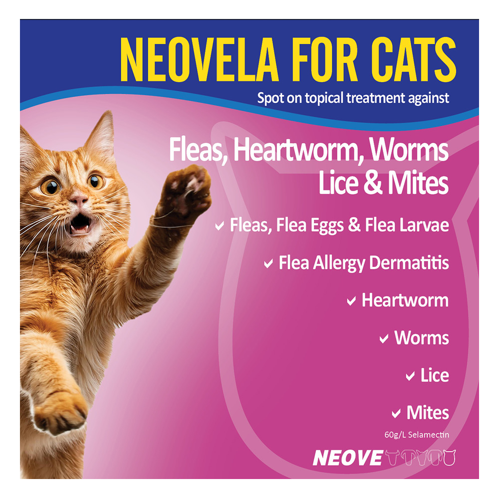 Neovela (Selamectin) Flea And Worming For Puppies and Kittens Upto 2.5 Kg Pink