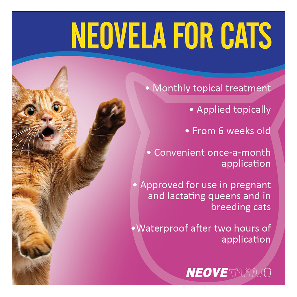 Neovela (Selamectin) Flea And Worming For Puppies and Kittens Upto 2.5 Kg Pink