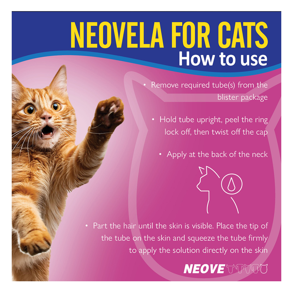 Neovela (Selamectin) Flea And Worming For Cats 2.6 - 7.5 Kg Blue