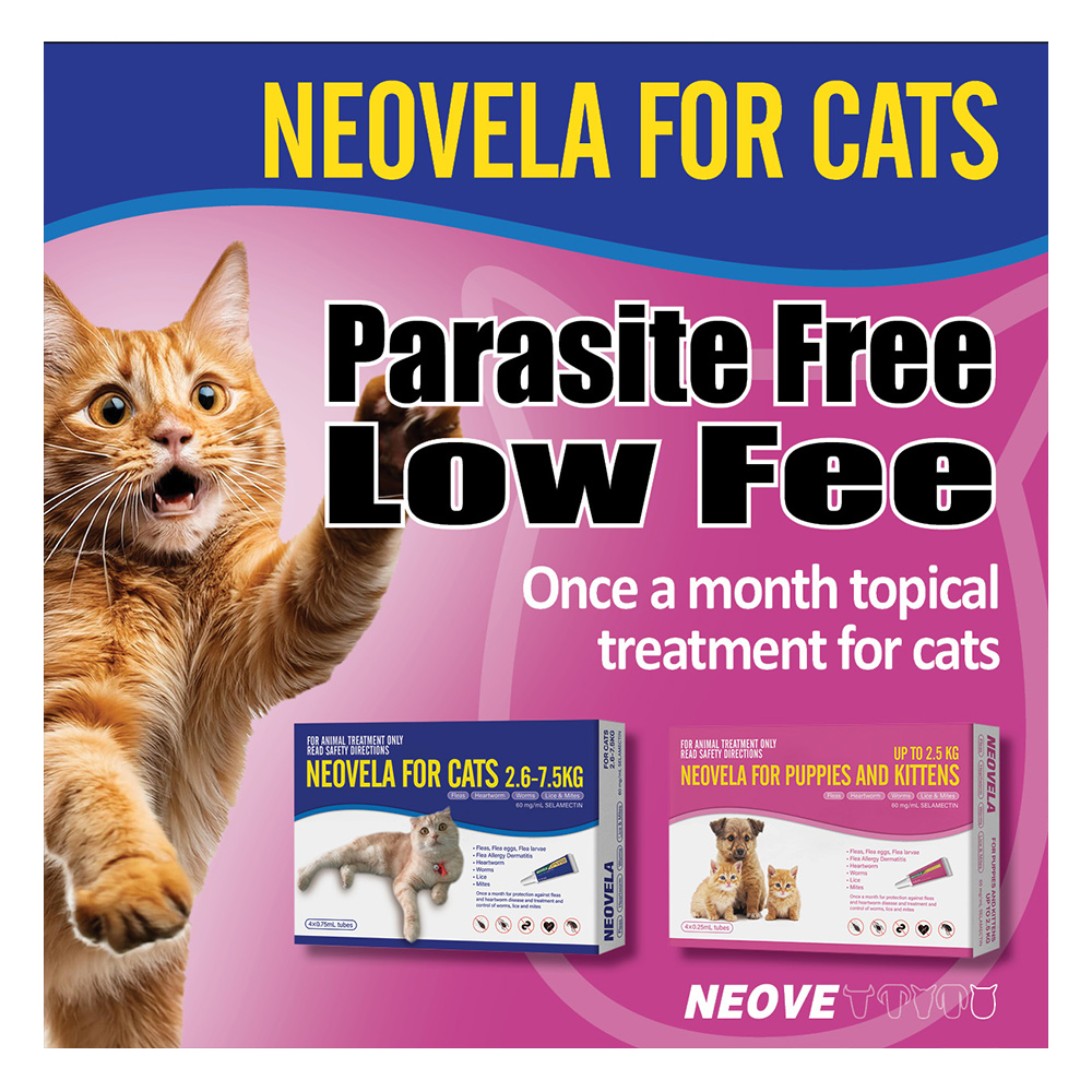 Neovela (Selamectin) Flea And Worming For Cats 2.6 - 7.5 Kg Blue