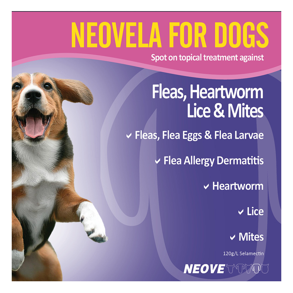 Neovela (Selamectin) Flea and Worming For Dogs 5 - 10 Kg Brown