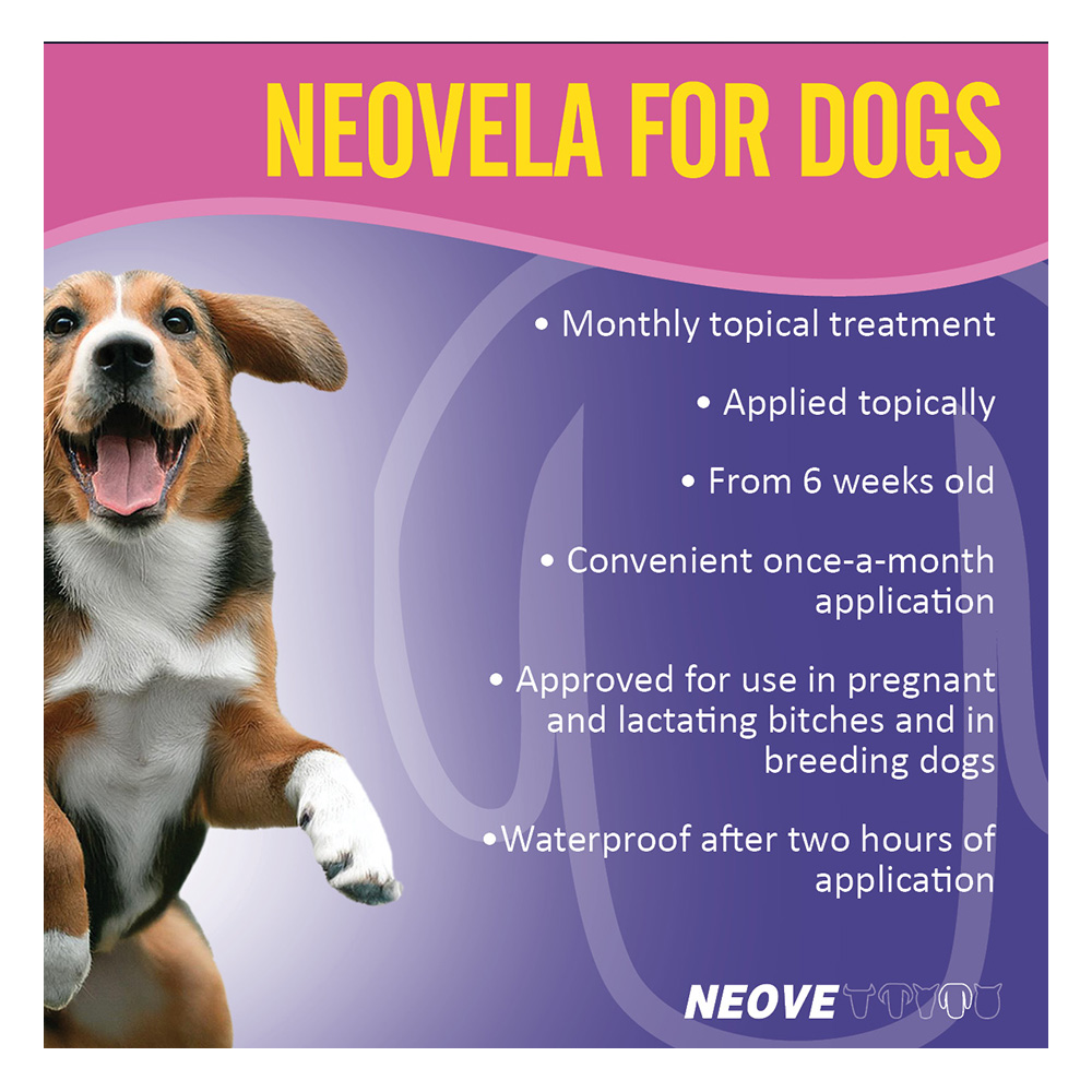 Neovela (Selamectin) Flea and Worming For Dogs 5 - 10 Kg Brown