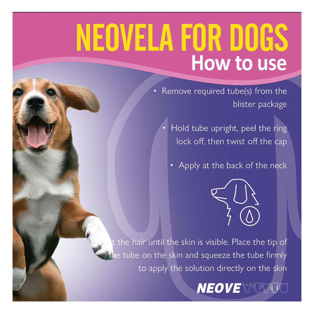Neovela (Selamectin) Flea and Worming For Dogs 5 - 10 Kg Brown
