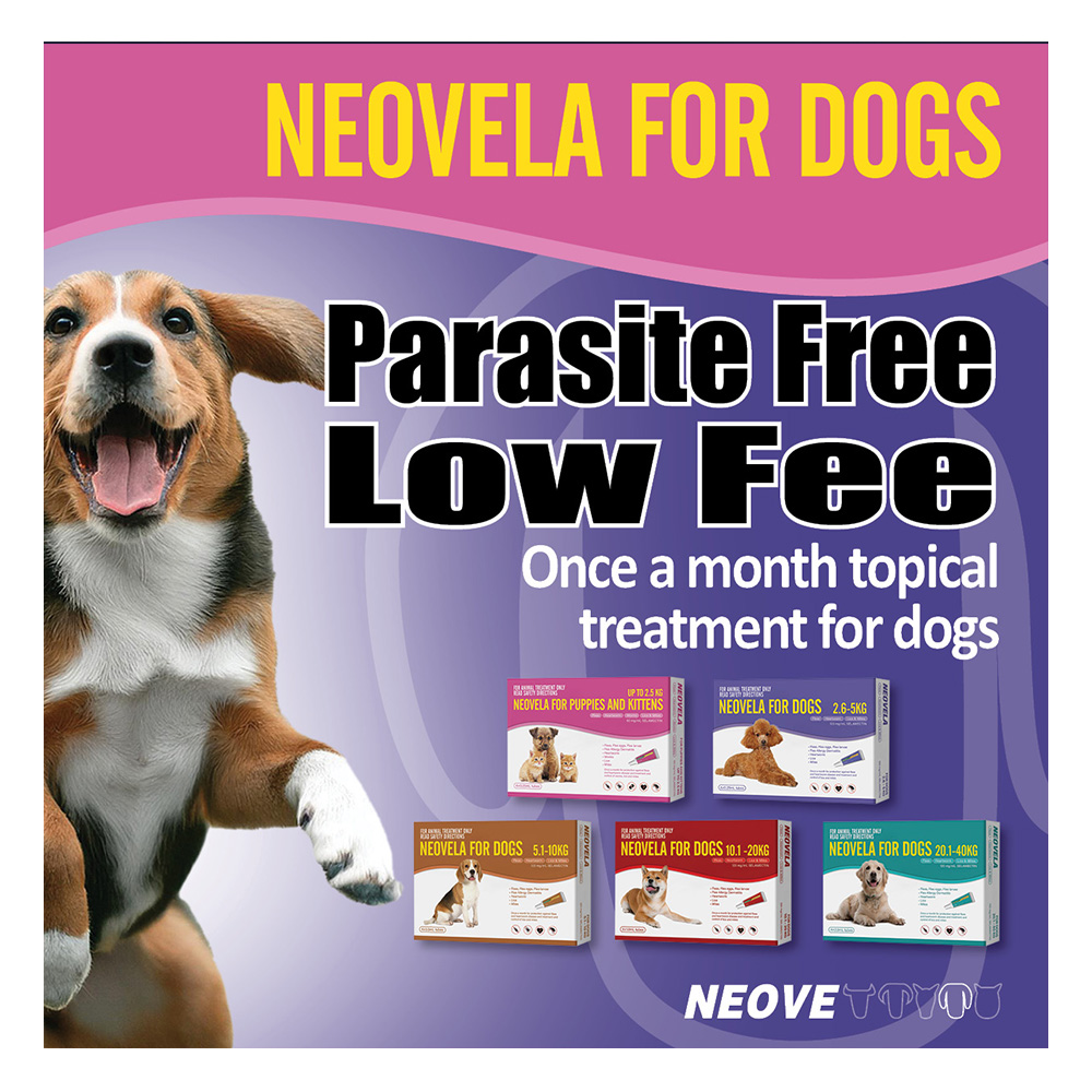 Neovela (Selamectin) Flea and Worming For Dogs 5 - 10 Kg Brown