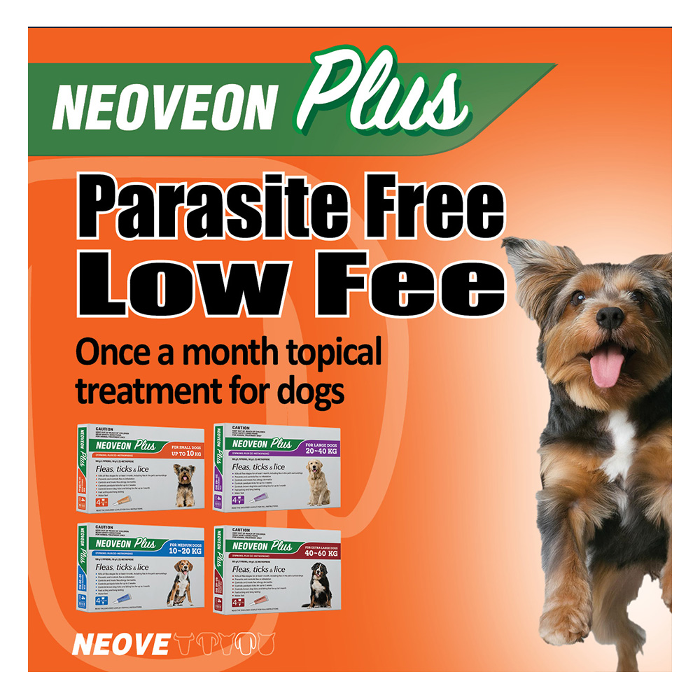 Neoveon Plus Flea and Tick For Medium Dogs 10 to 20kg Blue