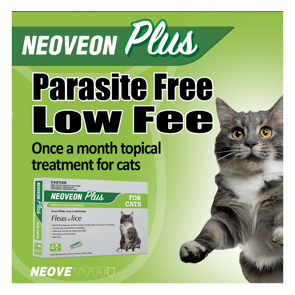 Neoveon Plus Fleas and Lice For Cats
