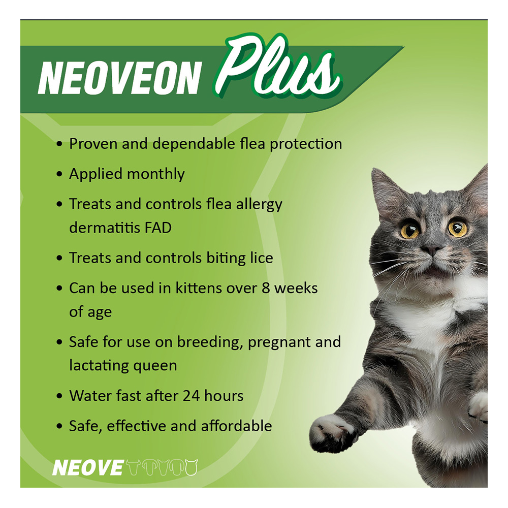 Neoveon Plus Fleas and Lice For Cats
